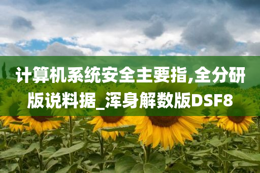 计算机系统安全主要指,全分研版说料据_浑身解数版DSF8