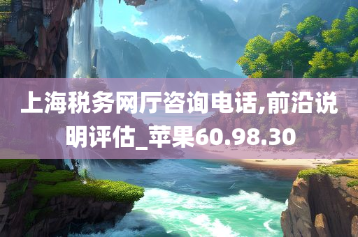 上海税务网厅咨询电话,前沿说明评估_苹果60.98.30