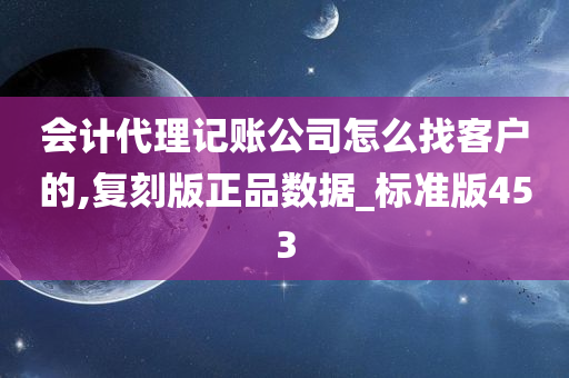 会计代理记账公司怎么找客户的,复刻版正品数据_标准版453