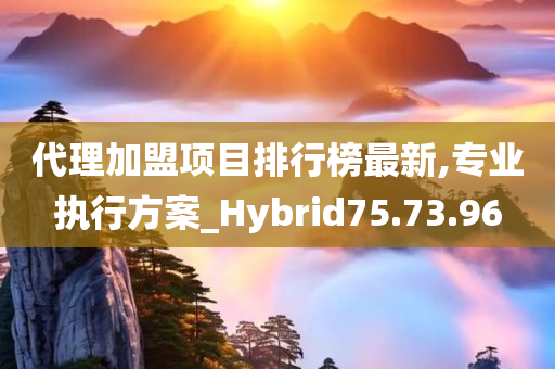 代理加盟项目排行榜最新,专业执行方案_Hybrid75.73.96