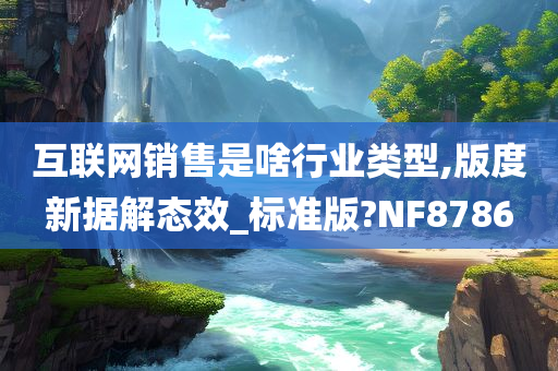 互联网销售是啥行业类型,版度新据解态效_标准版?NF8786