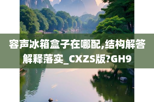 容声冰箱盒子在哪配,结构解答解释落实_CXZS版?GH9