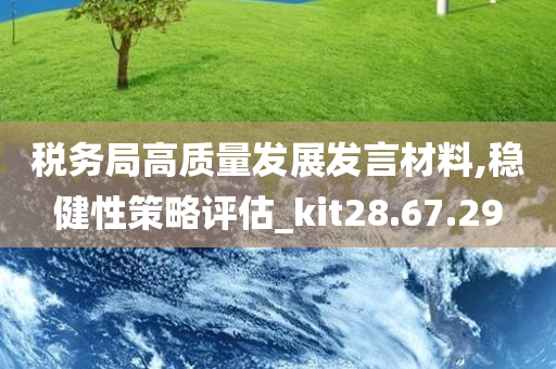 税务局高质量发展发言材料,稳健性策略评估_kit28.67.29