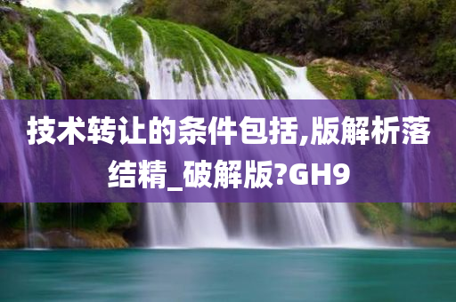 技术转让的条件包括,版解析落结精_破解版?GH9