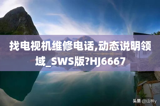 找电视机维修电话,动态说明领域_SWS版?HJ6667