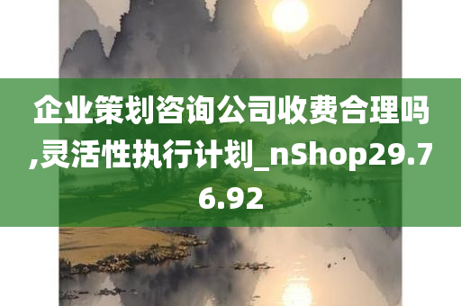 企业策划咨询公司收费合理吗,灵活性执行计划_nShop29.76.92