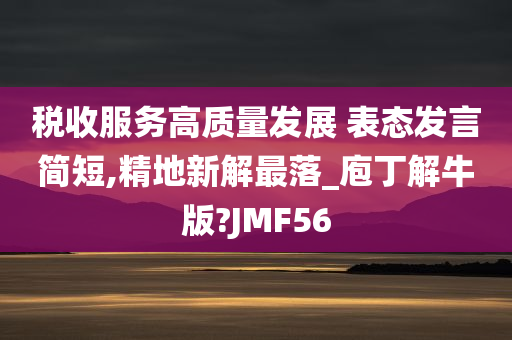 税收服务高质量发展 表态发言简短,精地新解最落_庖丁解牛版?JMF56