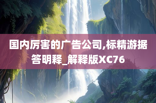 国内厉害的广告公司,标精游据答明释_解释版XC76