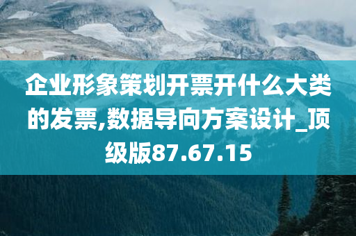 企业形象策划开票开什么大类的发票,数据导向方案设计_顶级版87.67.15