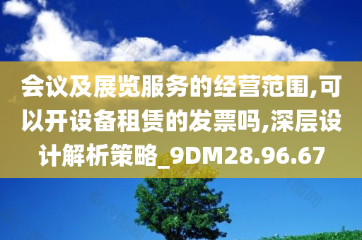 会议及展览服务的经营范围,可以开设备租赁的发票吗,深层设计解析策略_9DM28.96.67