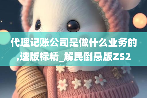 代理记账公司是做什么业务的,速版标精_解民倒悬版ZS2