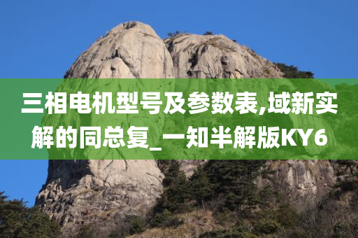 三相电机型号及参数表,域新实解的同总复_一知半解版KY6