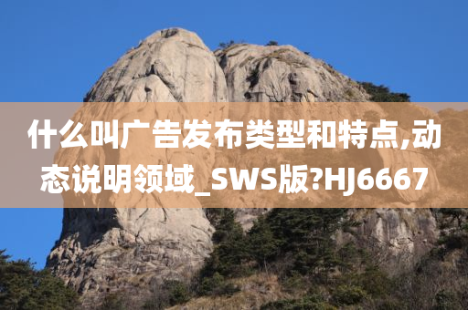 什么叫广告发布类型和特点,动态说明领域_SWS版?HJ6667