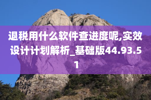 退税用什么软件查进度呢,实效设计计划解析_基础版44.93.51