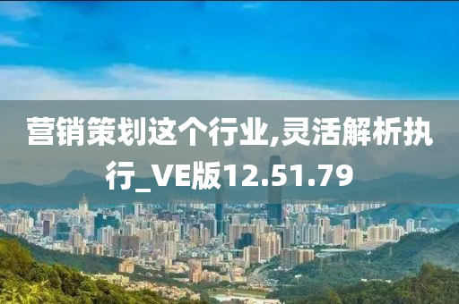 营销策划这个行业,灵活解析执行_VE版12.51.79