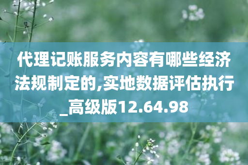 代理记账服务内容有哪些经济法规制定的,实地数据评估执行_高级版12.64.98