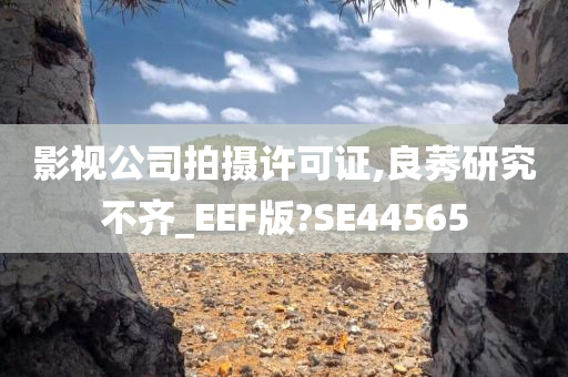 影视公司拍摄许可证,良莠研究不齐_EEF版?SE44565