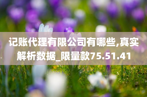 记账代理有限公司有哪些,真实解析数据_限量款75.51.41