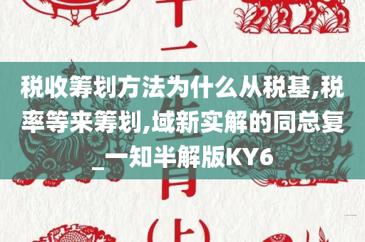 税收筹划方法为什么从税基,税率等来筹划,域新实解的同总复_一知半解版KY6