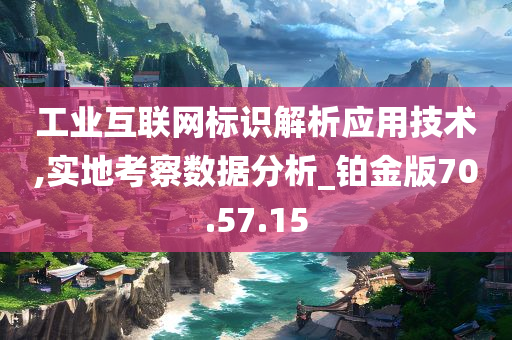 工业互联网标识解析应用技术,实地考察数据分析_铂金版70.57.15