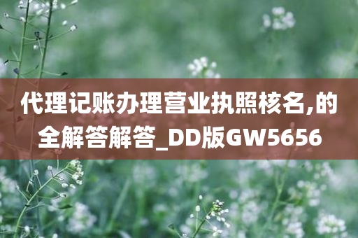 代理记账办理营业执照核名,的全解答解答_DD版GW5656