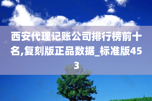 西安代理记账公司排行榜前十名,复刻版正品数据_标准版453