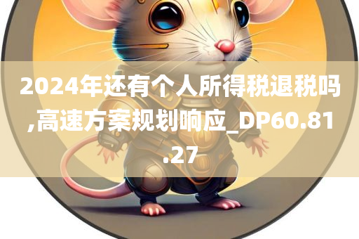 2024年还有个人所得税退税吗,高速方案规划响应_DP60.81.27