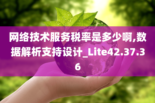 网络技术服务税率是多少啊,数据解析支持设计_Lite42.37.36