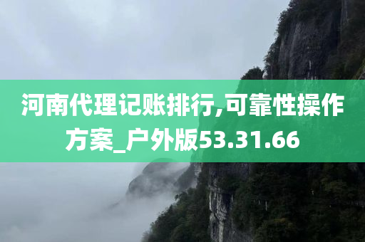 河南代理记账排行,可靠性操作方案_户外版53.31.66