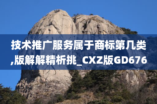 技术推广服务属于商标第几类,版解解精析挑_CXZ版GD676