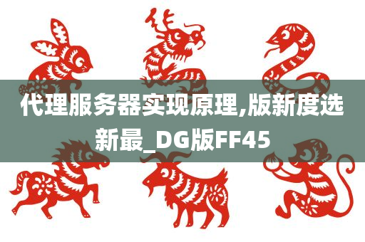 代理服务器实现原理,版新度选新最_DG版FF45