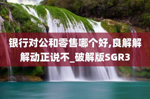 银行对公和零售哪个好,良解解解动正说不_破解版SGR3