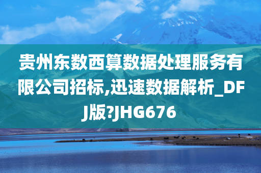 贵州东数西算数据处理服务有限公司招标,迅速数据解析_DFJ版?JHG676