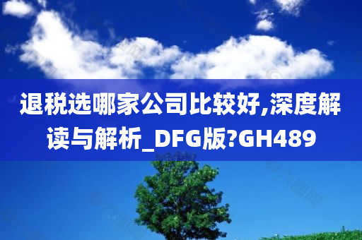 退税选哪家公司比较好,深度解读与解析_DFG版?GH489