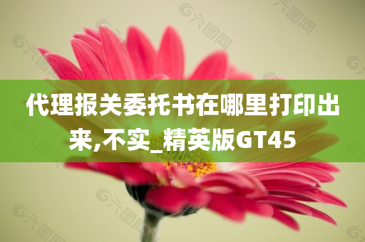 代理报关委托书在哪里打印出来,不实_精英版GT45