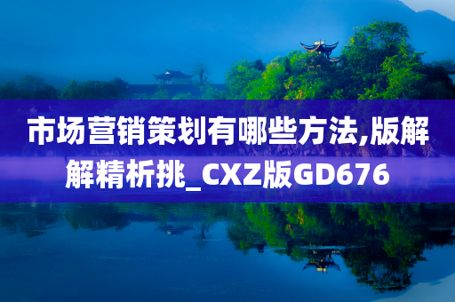 市场营销策划有哪些方法,版解解精析挑_CXZ版GD676