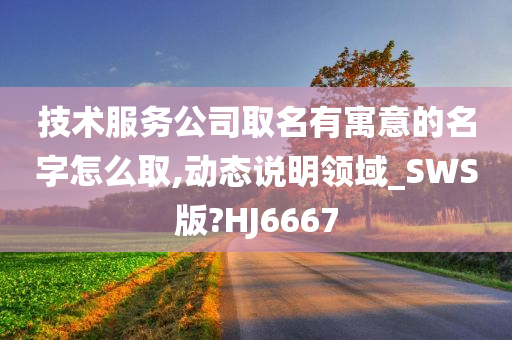 技术服务公司取名有寓意的名字怎么取,动态说明领域_SWS版?HJ6667