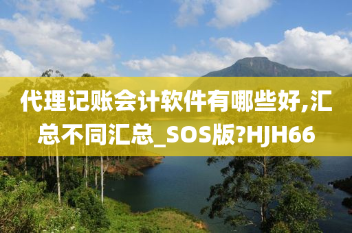 代理记账会计软件有哪些好,汇总不同汇总_SOS版?HJH66