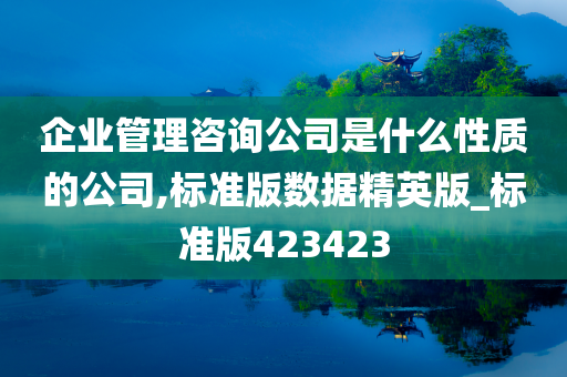 企业管理咨询公司是什么性质的公司,标准版数据精英版_标准版423423