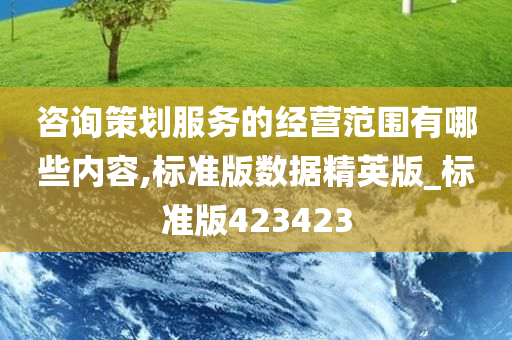 咨询策划服务的经营范围有哪些内容,标准版数据精英版_标准版423423