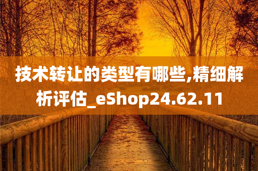 技术转让的类型有哪些,精细解析评估_eShop24.62.11