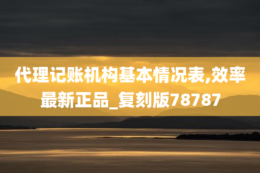 代理记账机构基本情况表,效率最新正品_复刻版78787