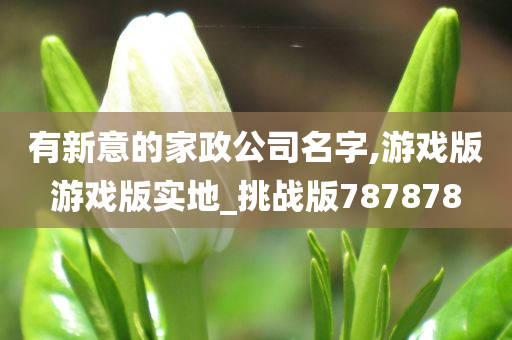 有新意的家政公司名字,游戏版游戏版实地_挑战版787878