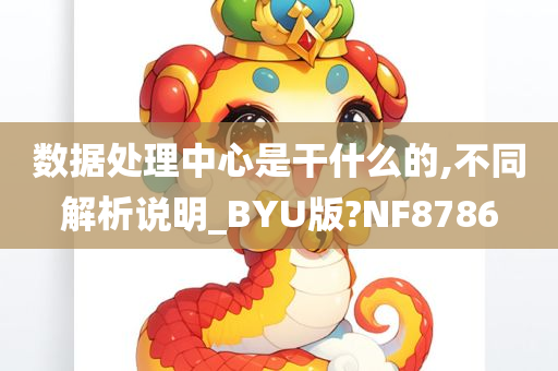 数据处理中心是干什么的,不同解析说明_BYU版?NF8786