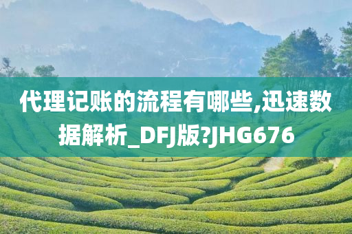 代理记账的流程有哪些,迅速数据解析_DFJ版?JHG676