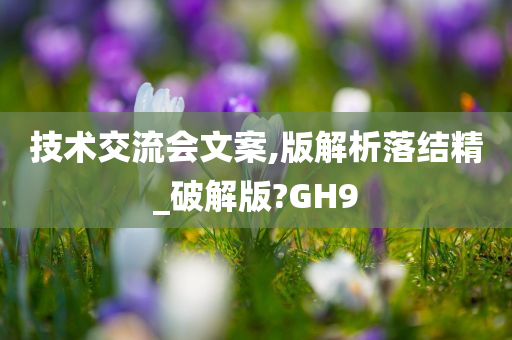 技术交流会文案,版解析落结精_破解版?GH9