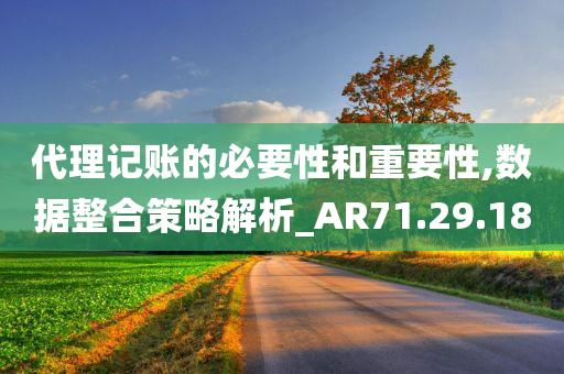 代理记账的必要性和重要性,数据整合策略解析_AR71.29.18