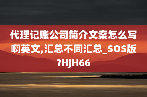 代理记账公司简介文案怎么写啊英文,汇总不同汇总_SOS版?HJH66