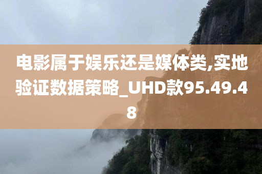 电影属于娱乐还是媒体类,实地验证数据策略_UHD款95.49.48