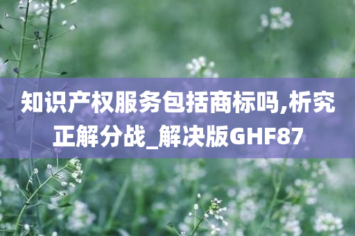 知识产权服务包括商标吗,析究正解分战_解决版GHF87